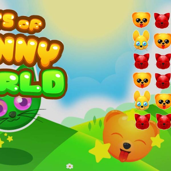 Pets Of Funny World game poster