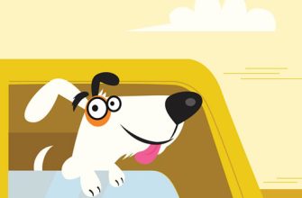 Adorable Puppies In Cars Match 3 13 adorable puppies in cars match 3